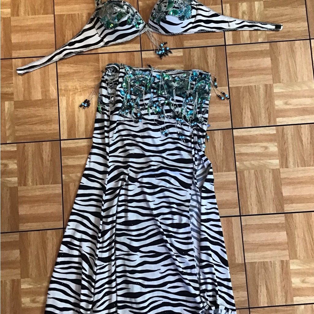 Two Piece Belly Dance Costume